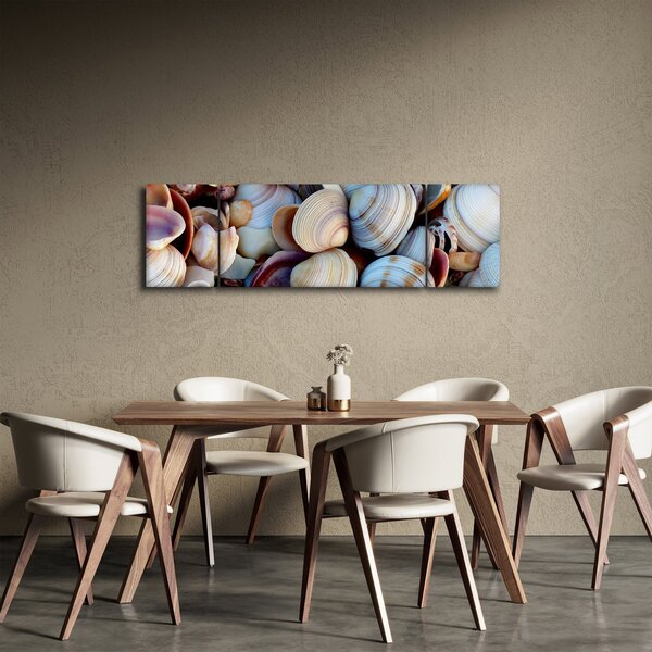 Obraz mušlí (170x50 cm)