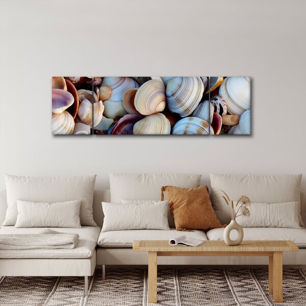 Obraz mušlí (170x50 cm)