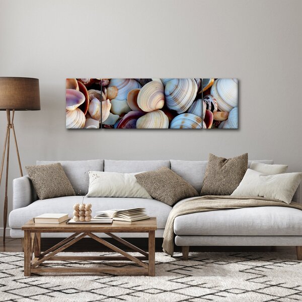 Obraz mušlí (170x50 cm)