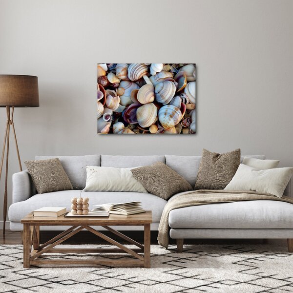 Obraz mušlí (70x50 cm)