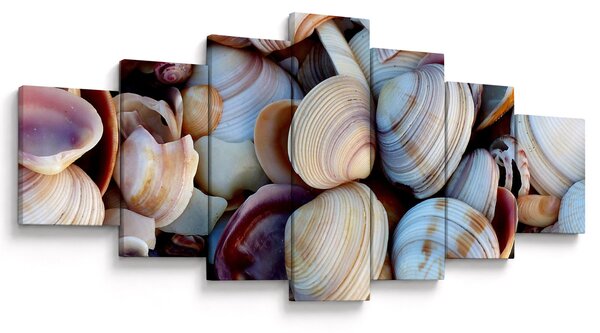 Obraz mušlí (210x100 cm)