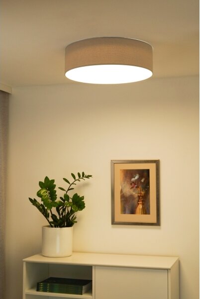 Duolla - LED Stropní svítidlo CORTINA LED/26W/230V pr. 30 cm 4000K šedá