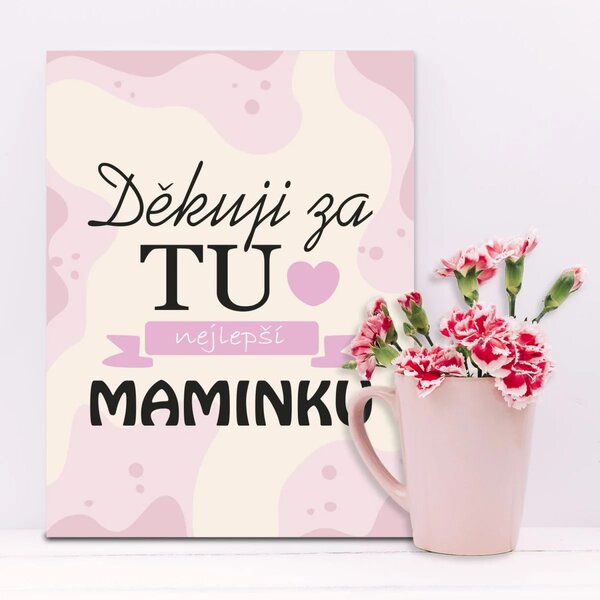 Sablio Dárková cedulka Děkuju za tu nejlepší maminku: 30x40 cm