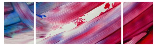 Obraz - růžovomodré barvy (170x50 cm)