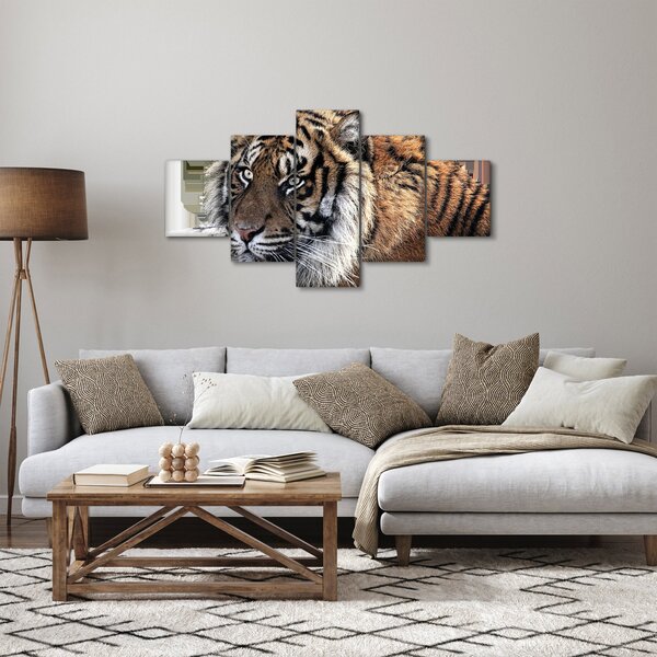 Obraz tygra (125x70 cm)