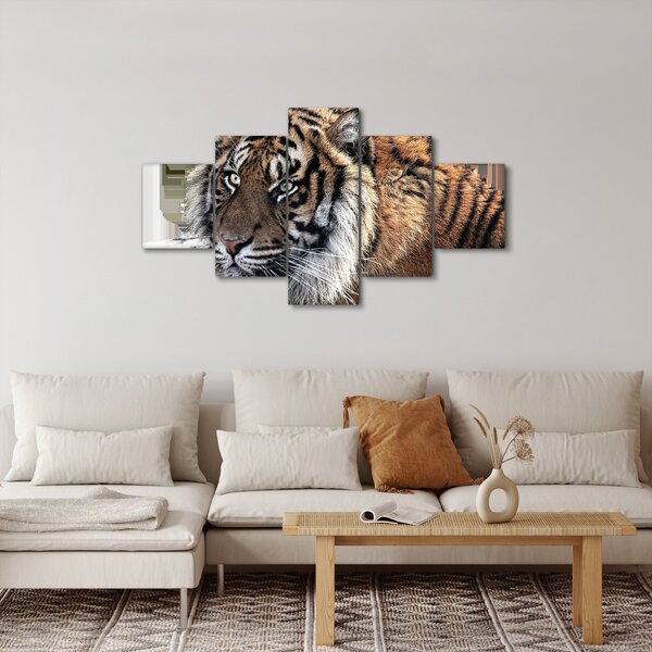Obraz tygra (125x70 cm)