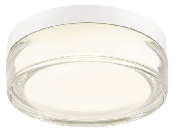 BIG WHITE SLV CYFT XL Přisazené nástěnné a stropní svítidlo, 2700/3000/4000 K, 15 W, PHASE, 125°, IP65 černá / čirá 1010210