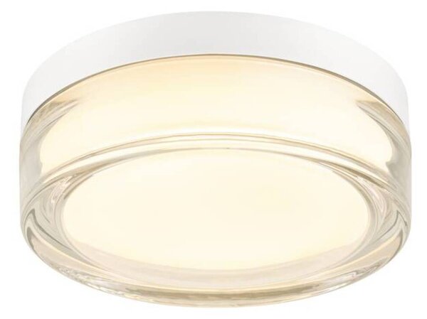 BIG WHITE SLV CYFT XL Přisazené nástěnné a stropní svítidlo, 2700/3000/4000 K, 15 W, PHASE, 125°, IP65 černá / čirá 1010210