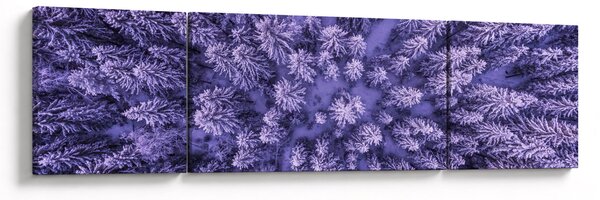 Obraz zasněžených stromů (170x50 cm)