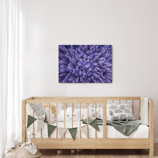 Obraz zasněžených stromů (70x50 cm)