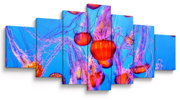 Obraz medúz v moři (210x100 cm)