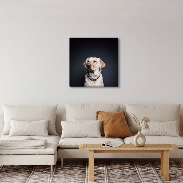 Obraz labradora (30x30 cm)