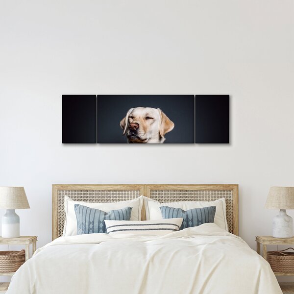 Obraz labradora (170x50 cm)