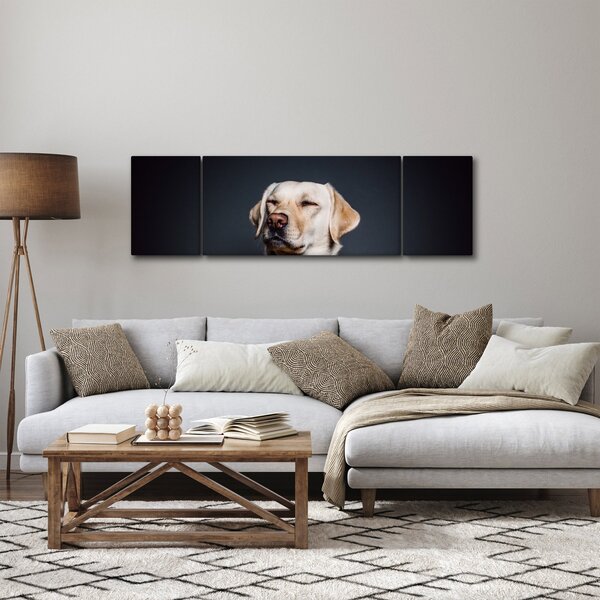 Obraz labradora (170x50 cm)