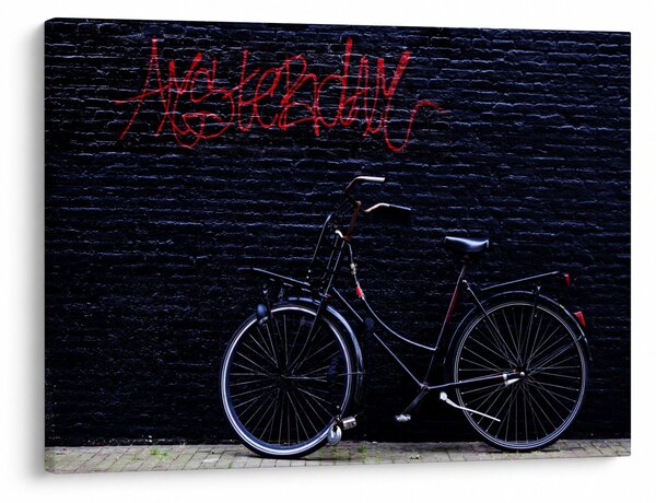 Obraz kola v Amsterdamu (70x50 cm)