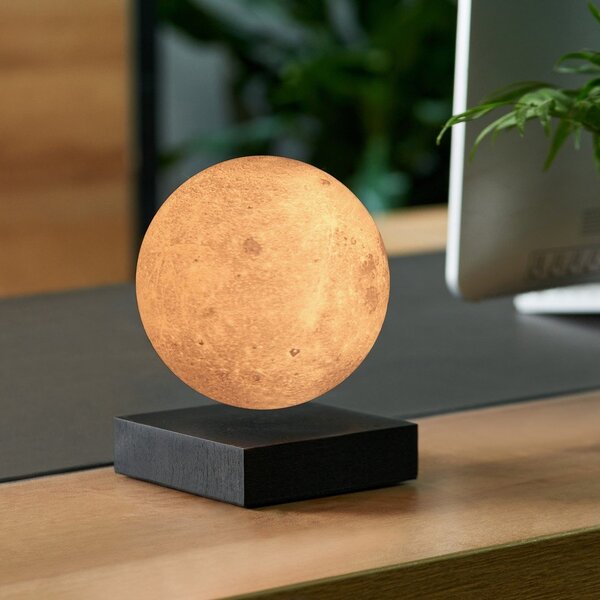 Černá světelná dekorace do zásuvky ø 12 cm Moon – Gingko