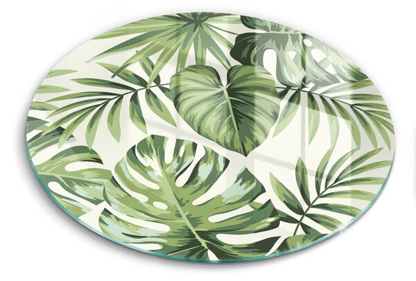 Skleněná deska do kuchyně Ilustrace monstera listy