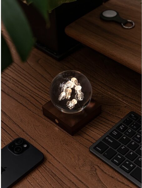 Tmavě hnědá světelná dekorace na USB Amber – Gingko