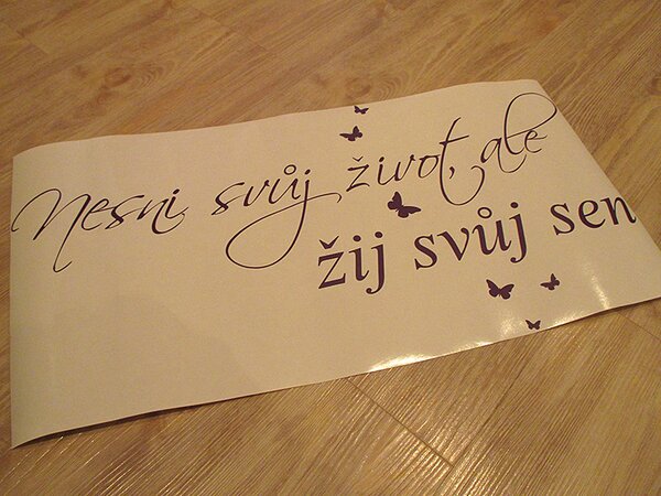 Žij svůj sen samolepka na zeď 50 x 26 cm