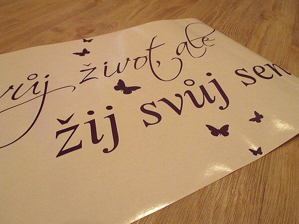 Žij svůj sen samolepka na zeď 50 x 26 cm