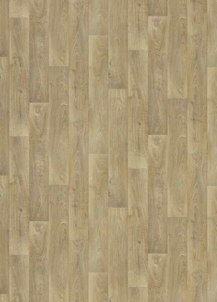 Breno PVC RANGER Vermont S40 – dřevo s kresbou, šíře 400 cm