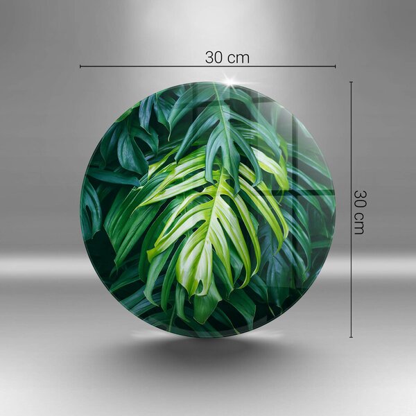 Skleněná deska do kuchyně Divoké monstera listy