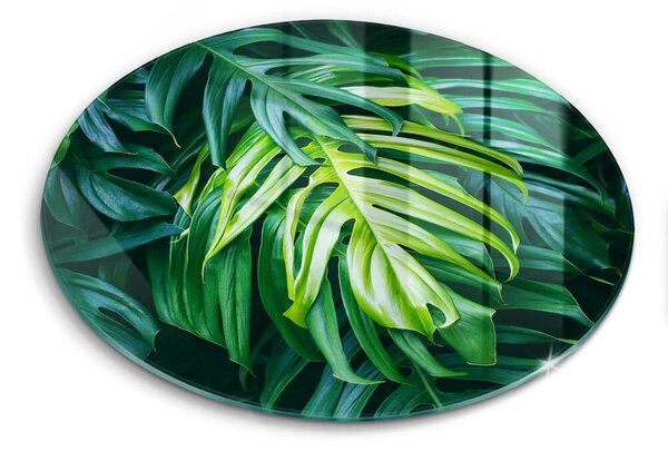 Skleněná deska do kuchyně Divoké monstera listy