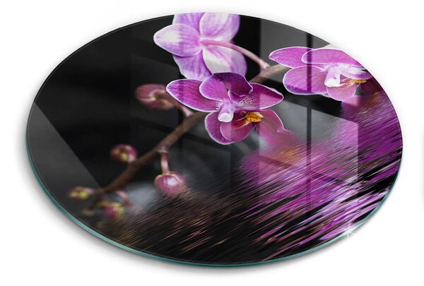 Skleněná deska do kuchyně Orchidejová zenová voda