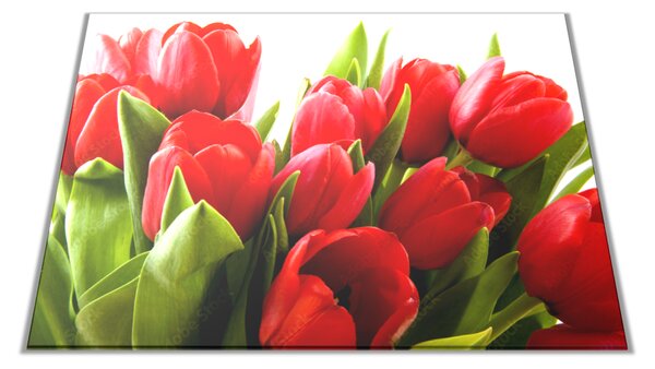 Skleněné prkénko květy červené tulipány - 30x20cm
