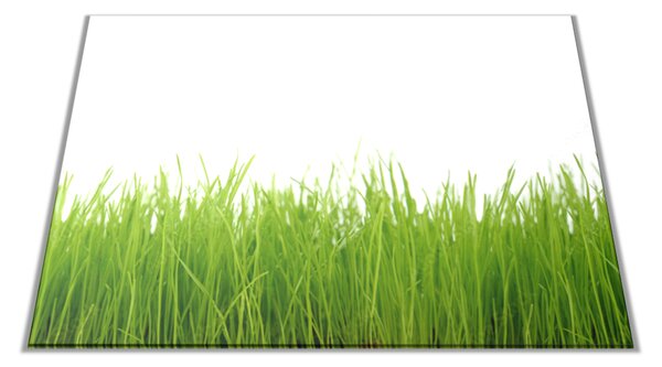 Skleněné prkénko jarní tráva bílé pozadí - 30x20cm