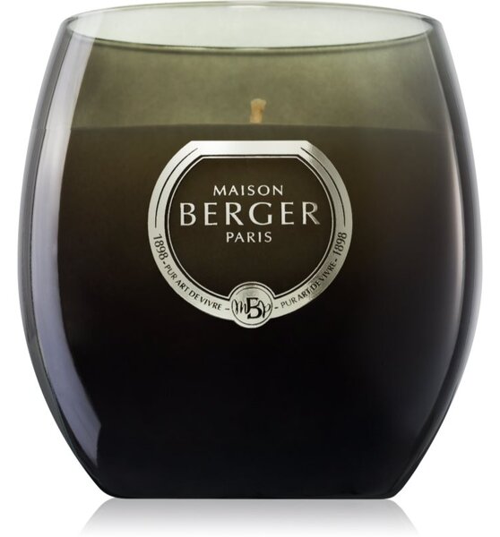 Maison Berger Paris Holly Amber Powder vonná svíčka 200 g