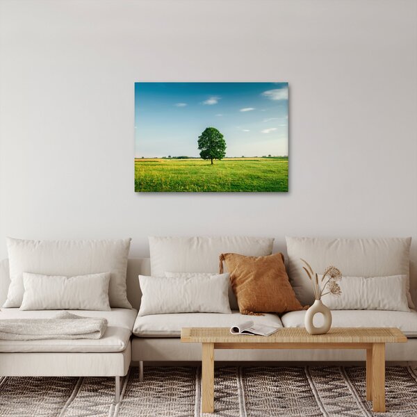 Obraz stromu na louce (70x50 cm)