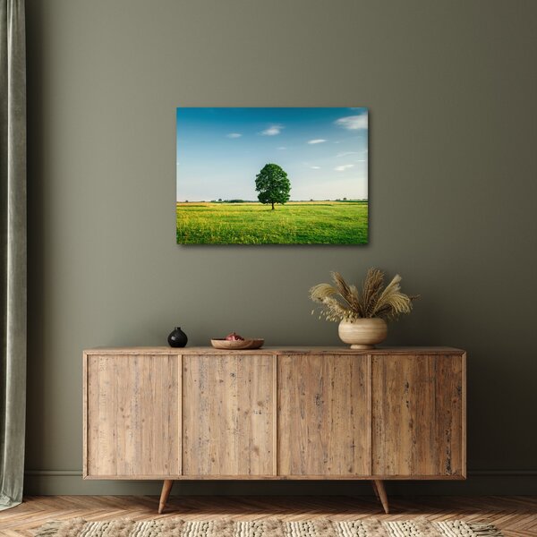 Obraz stromu na louce (70x50 cm)
