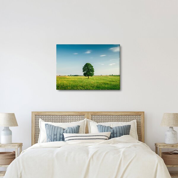 Obraz stromu na louce (70x50 cm)