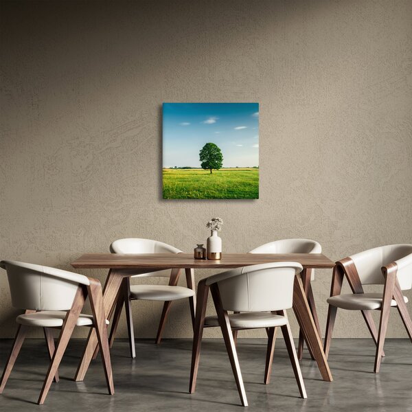 Obraz stromu na louce (30x30 cm)