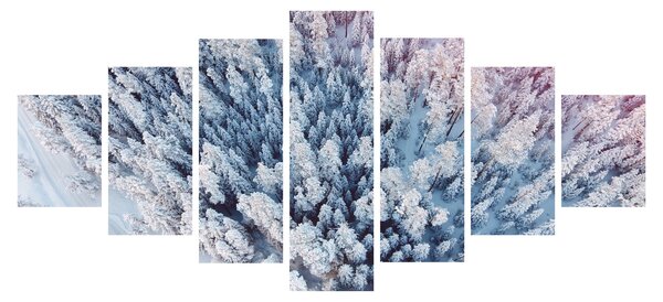 Obraz zasněžených stromů (210x100 cm)
