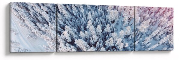 Obraz zasněžených stromů (170x50 cm)