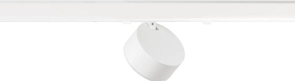 LA 1010239 KALU 2.0 3~ Spot, DALI, cylindrický, 2700 K, 10 W, 36°, bílý - BIG WHITE (SLV)