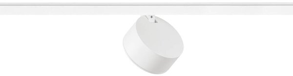 LA 1010254 KALU 2.0 48V Spot, DALI, cylindrický, 2700 K, 9 W, 36°, bílý - BIG WHITE (SLV)