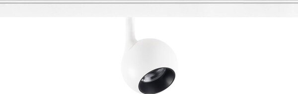 LA 1010457 LIGHT EYE® 2.0 48V Spot, DALI, kulatý, 2700 K, 10 W, 30°, bílý / černý - BIG WHITE (SLV)