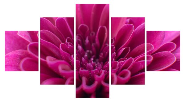 Obraz květiny (125x70 cm)