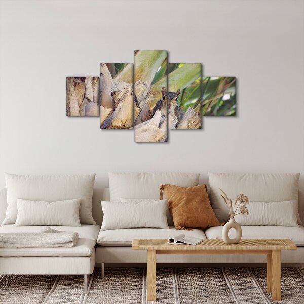 Obraz veverky na stromu (125x70 cm)