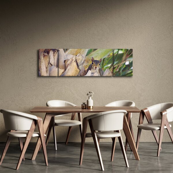 Obraz veverky na stromu (170x50 cm)