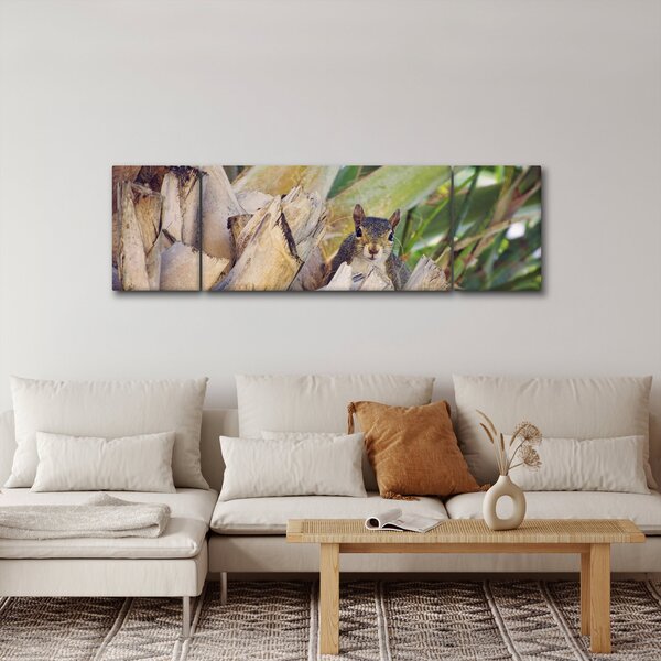 Obraz veverky na stromu (170x50 cm)