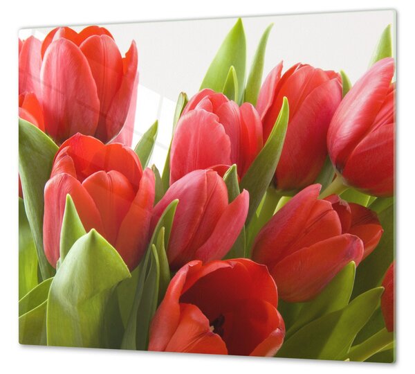 Ochranná deska květy červené tulipány - 65x65cm / Bez lepení na zeď