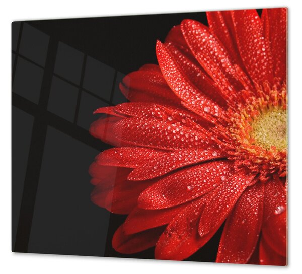 Ochranná deska červený květ gerbery - 60x80cm / Bez lepení na zeď