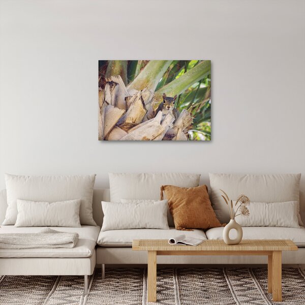 Obraz veverky na stromu (70x50 cm)