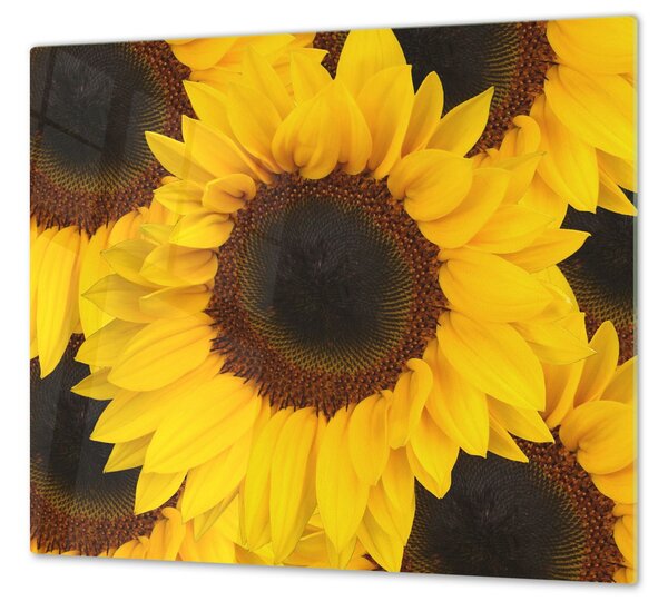 Ochranná deska květy slunečnice - 40x40cm / Bez lepení na zeď