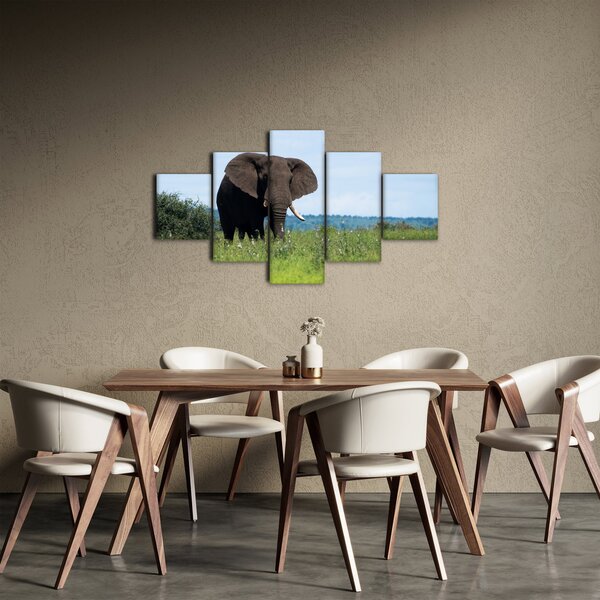 Obraz slona (125x70 cm)