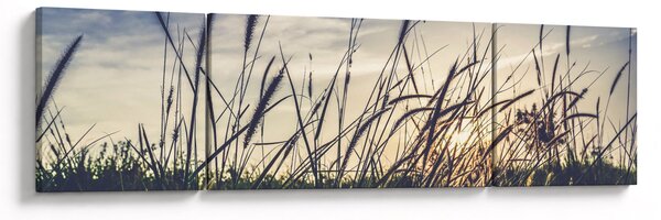 Obraz lučního kvítí (170x50 cm)